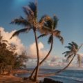 Idyllic white sand beach with clear turquoise waters, epitomizing the best beach vacations in the USA.