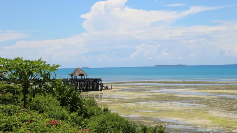 Pristine white sand beach in Zanzibar with turquoise ocean under a clear blue sky, illustrating the best time to visit for perfect weather.