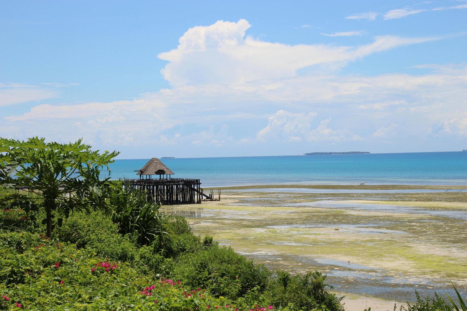 Pristine white sand beach in Zanzibar with turquoise ocean under a clear blue sky, illustrating the best time to visit for perfect weather.
