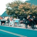 A picturesque, tree-lined street in a charming New Jersey suburb, an example of one of the best places to live in the Garden State.