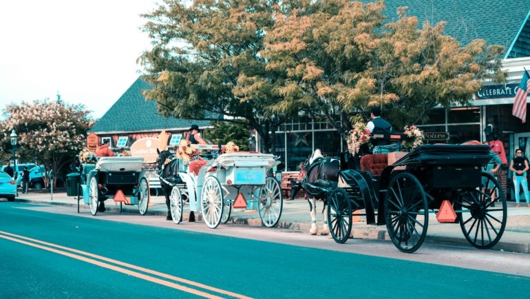 A picturesque, tree-lined street in a charming New Jersey suburb, an example of one of the best places to live in the Garden State.