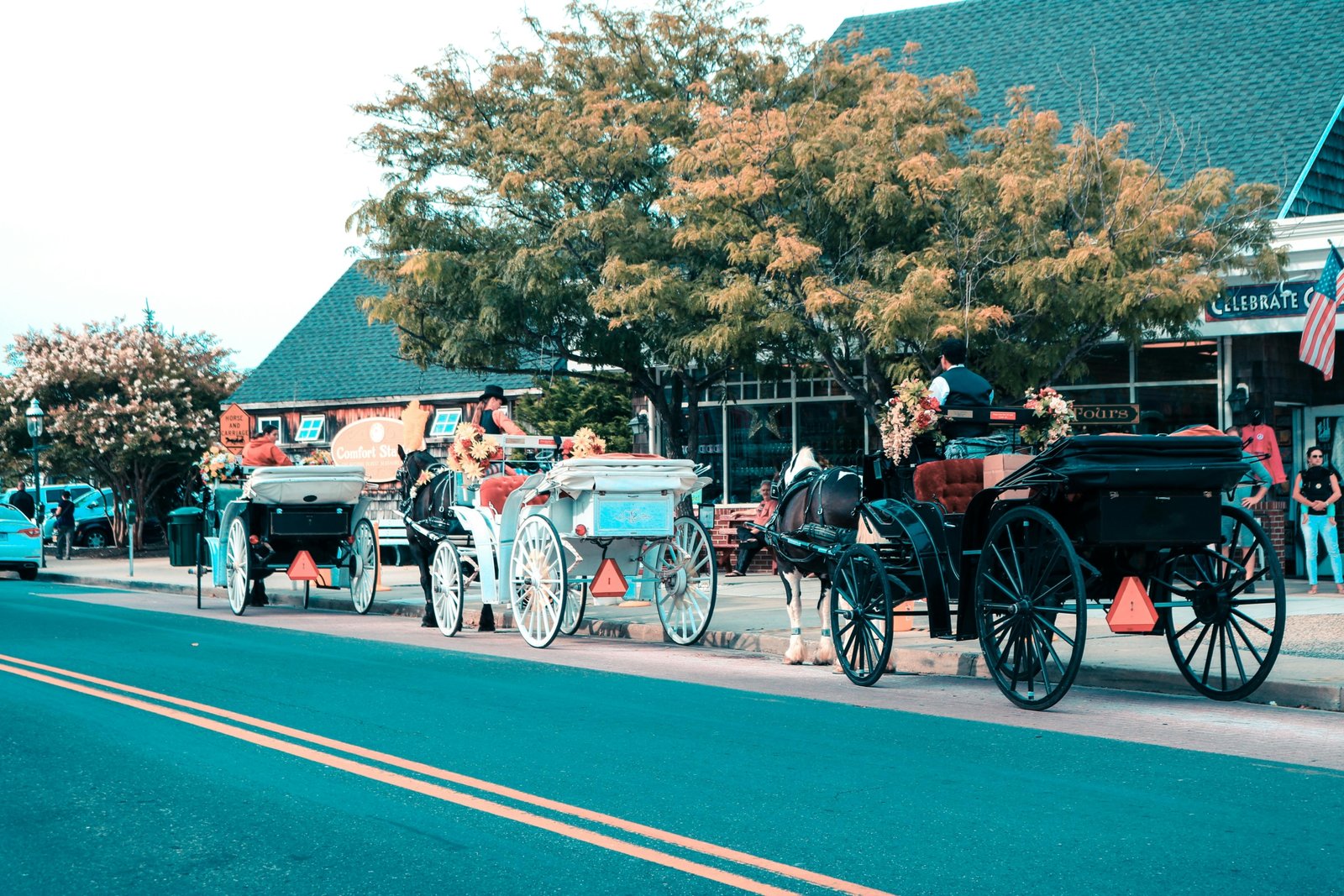A picturesque, tree-lined street in a charming New Jersey suburb, an example of one of the best places to live in the Garden State.