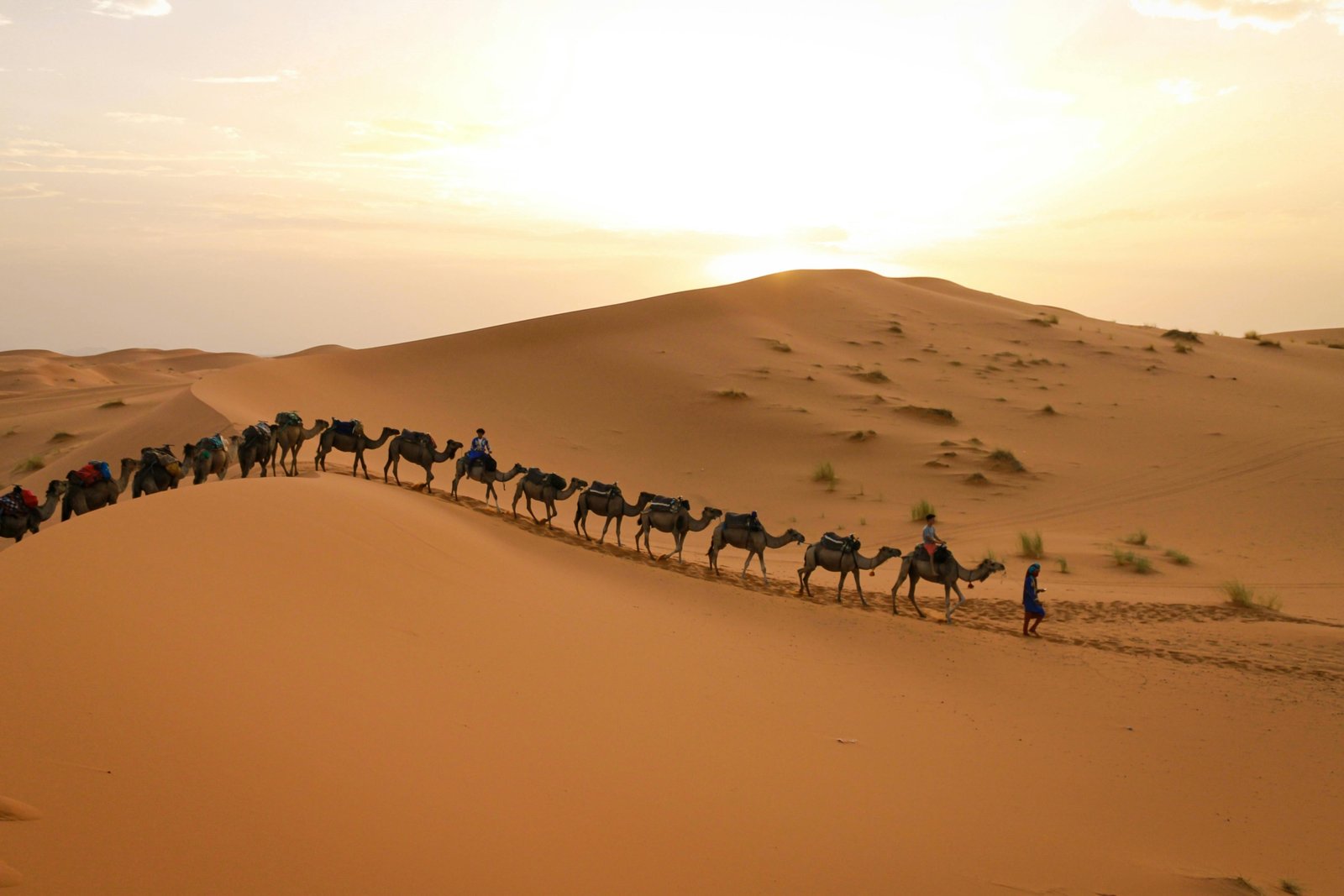 A camel caravan treks across the golden sand dunes of the Sahara desert during a spectacular sunset, illustrating a memorable Marrakech desert trip in Morocco.