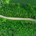 A scenic view of a car on a road winding through a lush American landscape, an ideal destination for a trip to one of the best U.S. cities to visit in March.