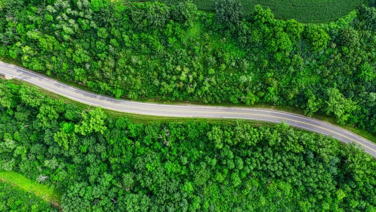 A scenic view of a car on a road winding through a lush American landscape, an ideal destination for a trip to one of the best U.S. cities to visit in March.