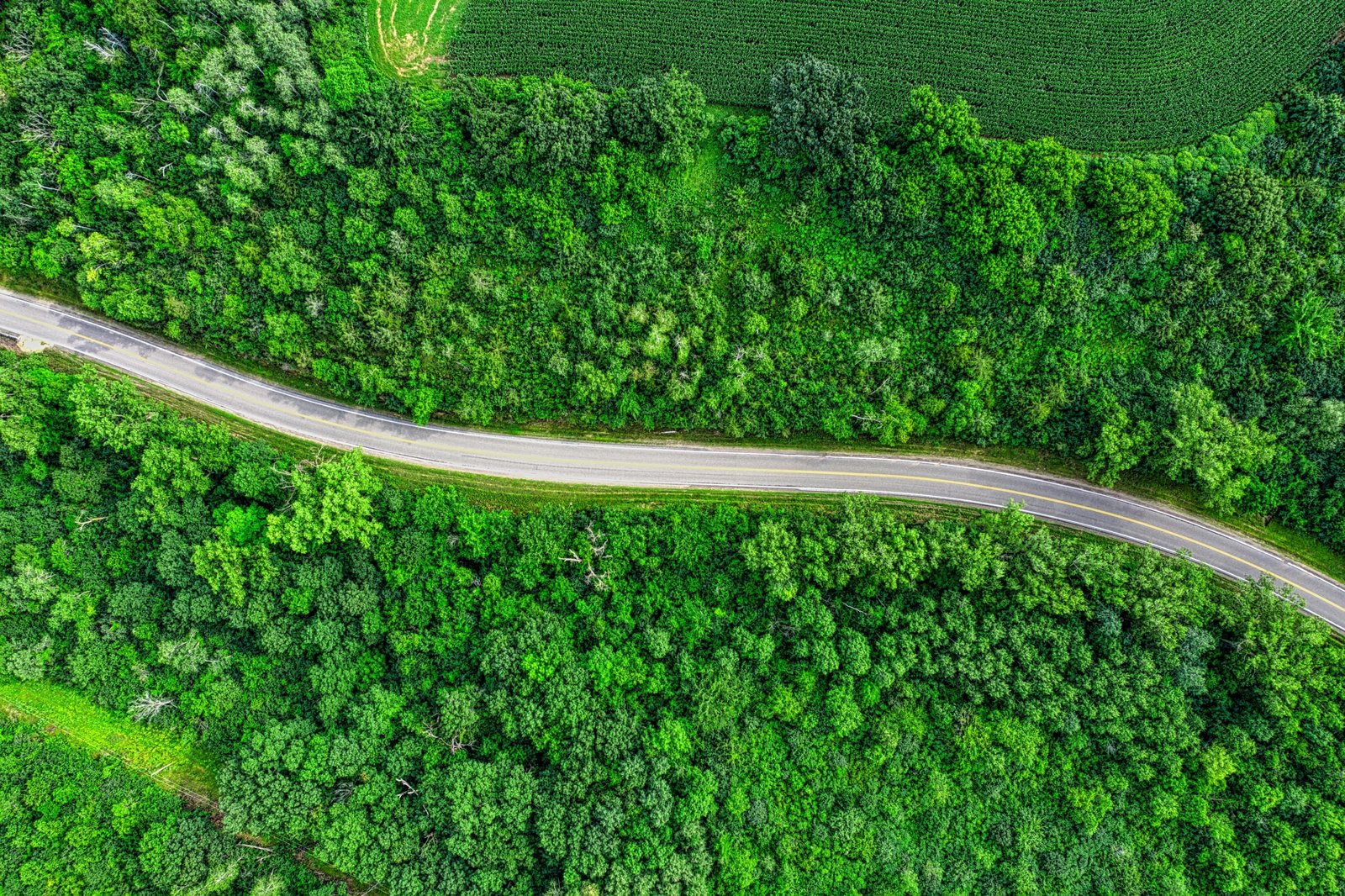 A scenic view of a car on a road winding through a lush American landscape, an ideal destination for a trip to one of the best U.S. cities to visit in March.