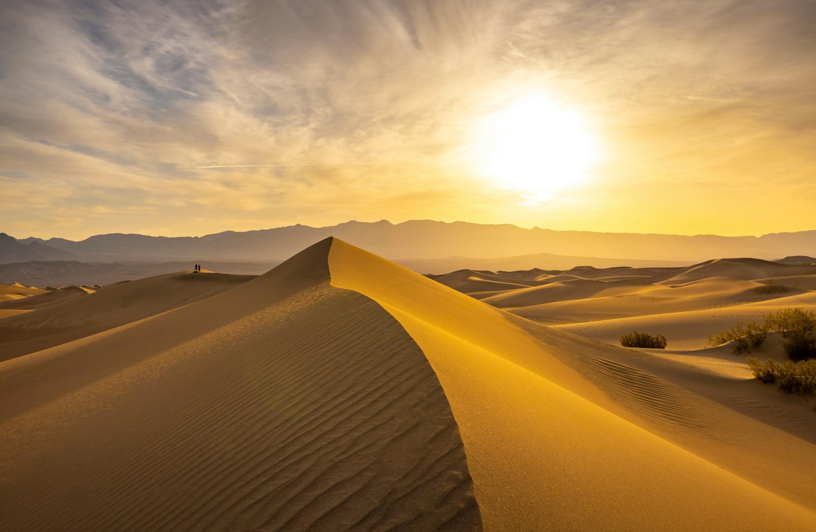 Vibrant desert sunrise over endless sand dunes, showcasing the serene beauty of a desert awakenings tour.