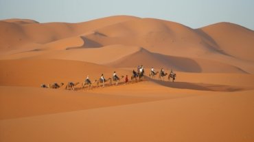 Camel train silhouetted against a vibrant sunset over the Erg Chebbi dunes in the Moroccan Sahara desert, symbolizing an authentic Atlas desert tour experience.