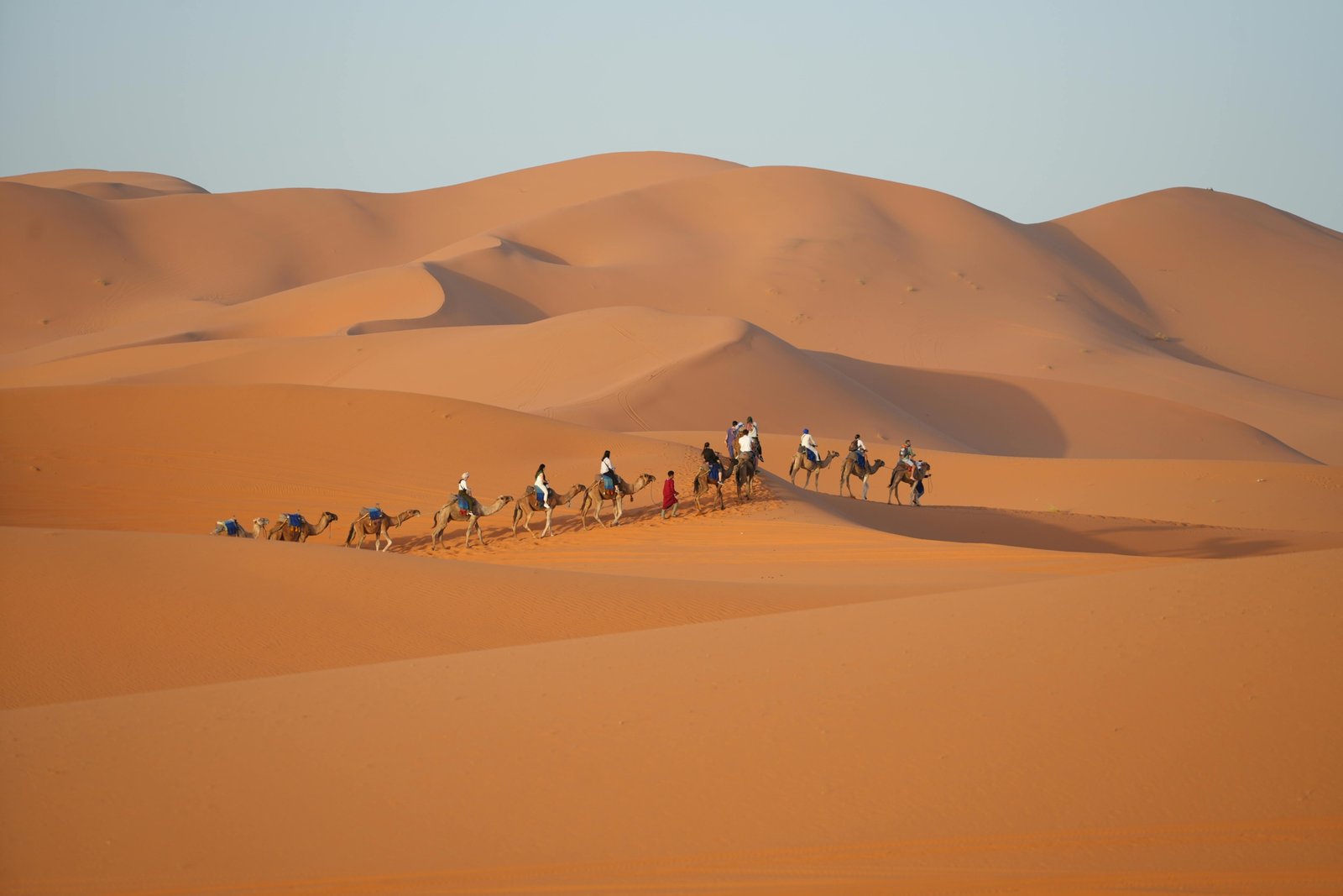 Camel train silhouetted against a vibrant sunset over the Erg Chebbi dunes in the Moroccan Sahara desert, symbolizing an authentic Atlas desert tour experience.