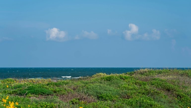 A serene Texas beach at sunrise with golden light reflecting on the gentle waves of the Gulf of Mexico and sandy dunes, a perfect destination for a coastal vacation in a Texas beach town.