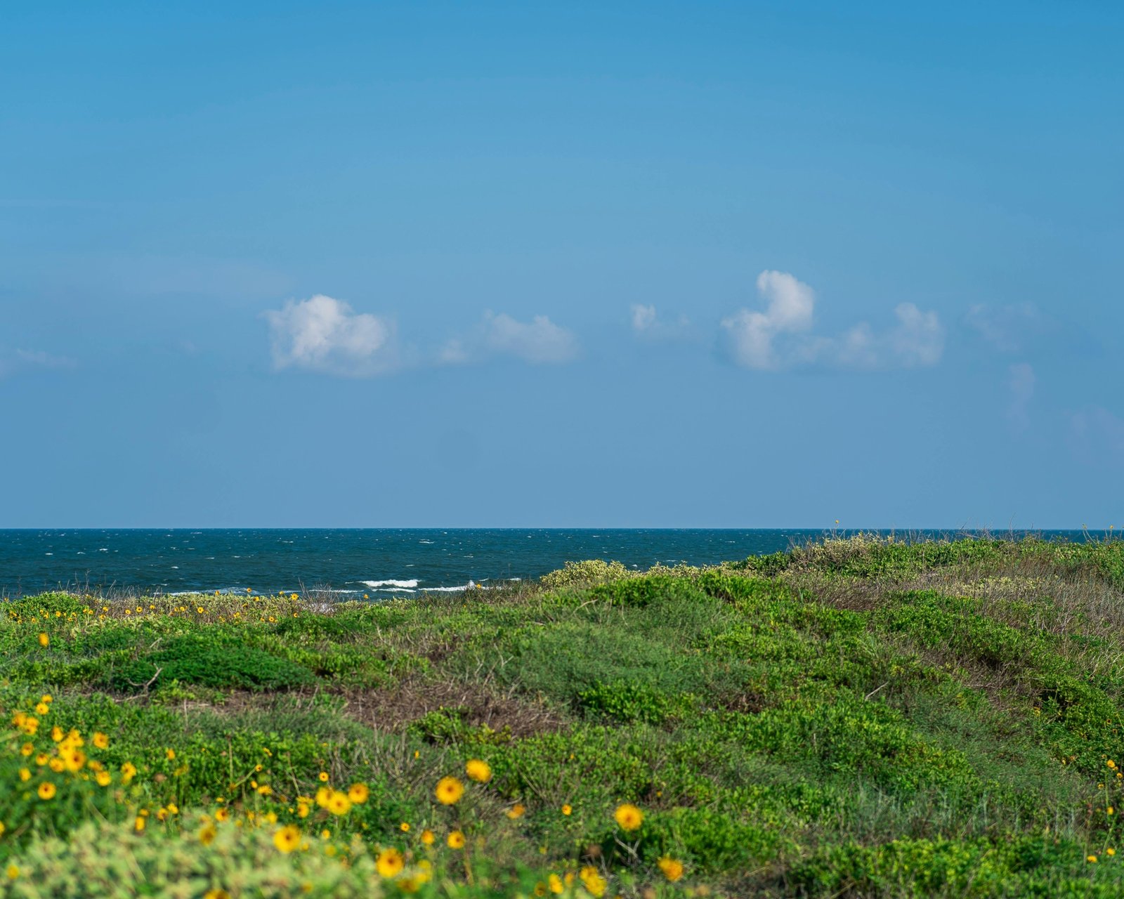 A serene Texas beach at sunrise with golden light reflecting on the gentle waves of the Gulf of Mexico and sandy dunes, a perfect destination for a coastal vacation in a Texas beach town.