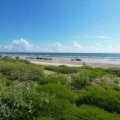 A wide, sandy expanse, one of the many nice beaches in Texas, with grassy sand dunes leading to the calm blue-green waters of the Gulf of Mexico under a clear sunny sky.