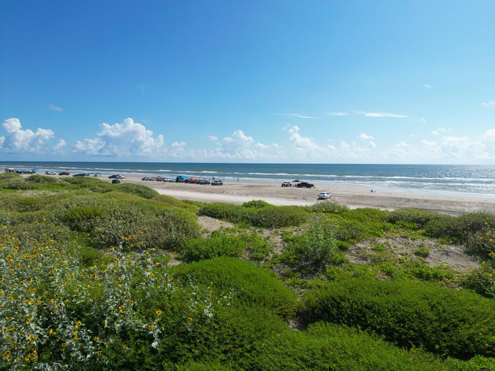 A wide, sandy expanse, one of the many nice beaches in Texas, with grassy sand dunes leading to the calm blue-green waters of the Gulf of Mexico under a clear sunny sky.