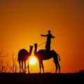 Dubai desert safari tour with golden sand dunes at sunset, featuring 4x4 dune bashing and camel riding.