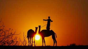Dubai desert safari tour with golden sand dunes at sunset, featuring 4x4 dune bashing and camel riding.