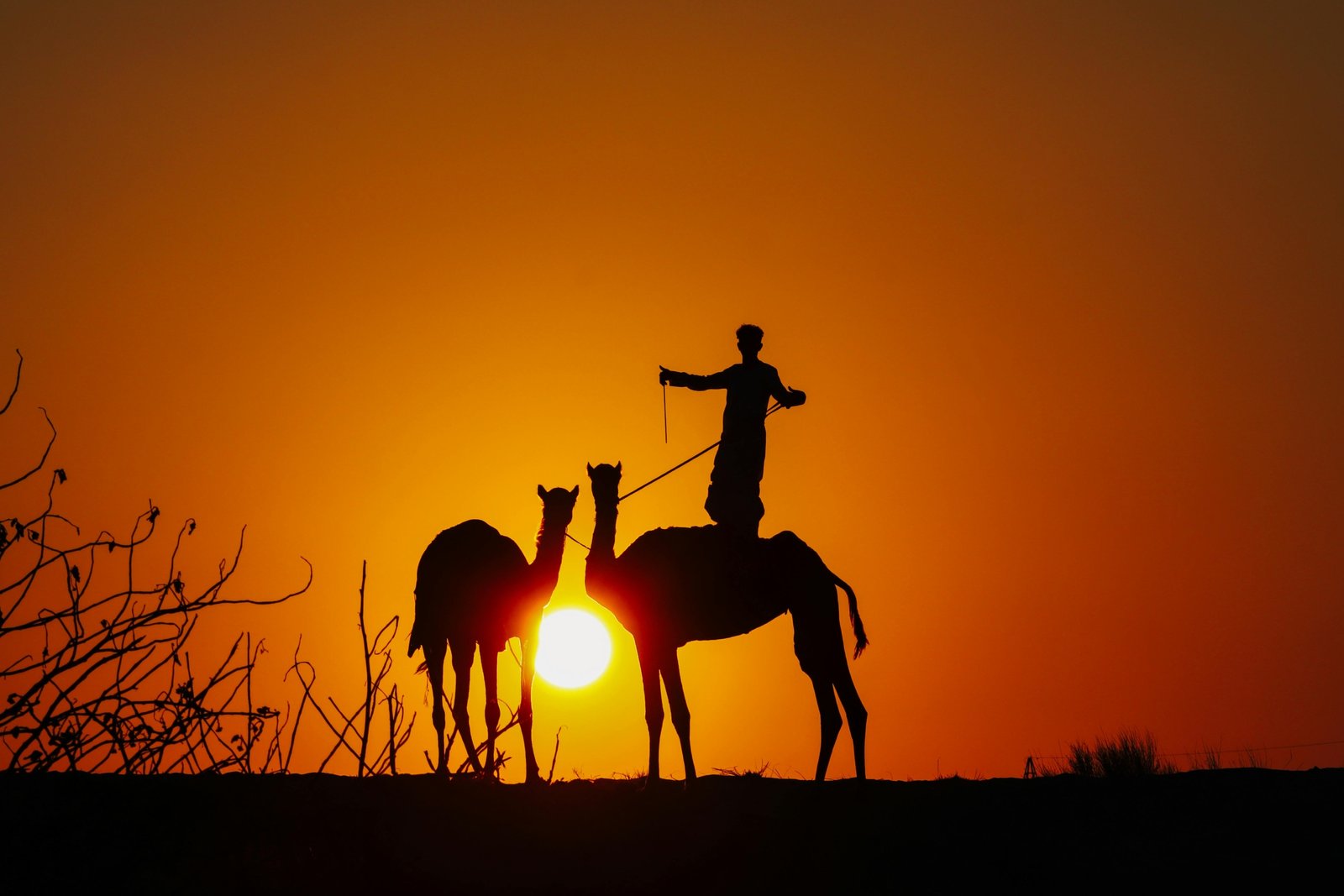 Dubai desert safari tour with golden sand dunes at sunset, featuring 4x4 dune bashing and camel riding.