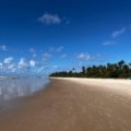 Stunning tropical paradise beach with pristine white sand, crystal-clear turquoise water, and palm trees, representing the ultimate escape for your travel-quests.com dream vacation.