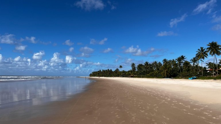 Stunning tropical paradise beach with pristine white sand, crystal-clear turquoise water, and palm trees, representing the ultimate escape for your travel-quests.com dream vacation.