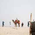 Diverse group of happy travelers on an organized Exoticca tour package, exploring an exotic landmark and highlighting the great value and adventure.
