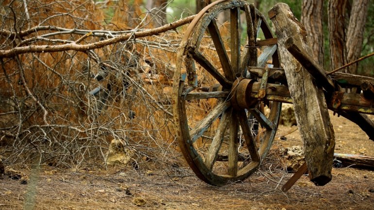 Stardew Valley Traveling Cart: A rustic merchant's wagon in a forest clearing, laden with rare items, seeds, and goods, essential for farm progress and Community Center completion.