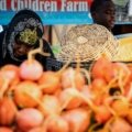 Vibrant outdoor scene at the Travelers Rest Farmers Market in South Carolina, showcasing local vendors and diverse shoppers amidst colorful stalls of fresh produce, artisanal crafts, baked goods, and community products.