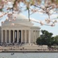 Pink and white cherry blossoms framing the Jefferson Memorial around the Tidal Basin in Washington D.C. during the National Cherry Blossom Festival, illustrating a top March travel destination in the US.