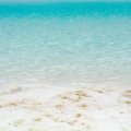 Punta Cana beach with turquoise water and palm trees under a clear sky, highlighting the best time to visit for ideal weather and fewer crowds.