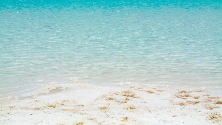 Punta Cana beach with turquoise water and palm trees under a clear sky, highlighting the best time to visit for ideal weather and fewer crowds.