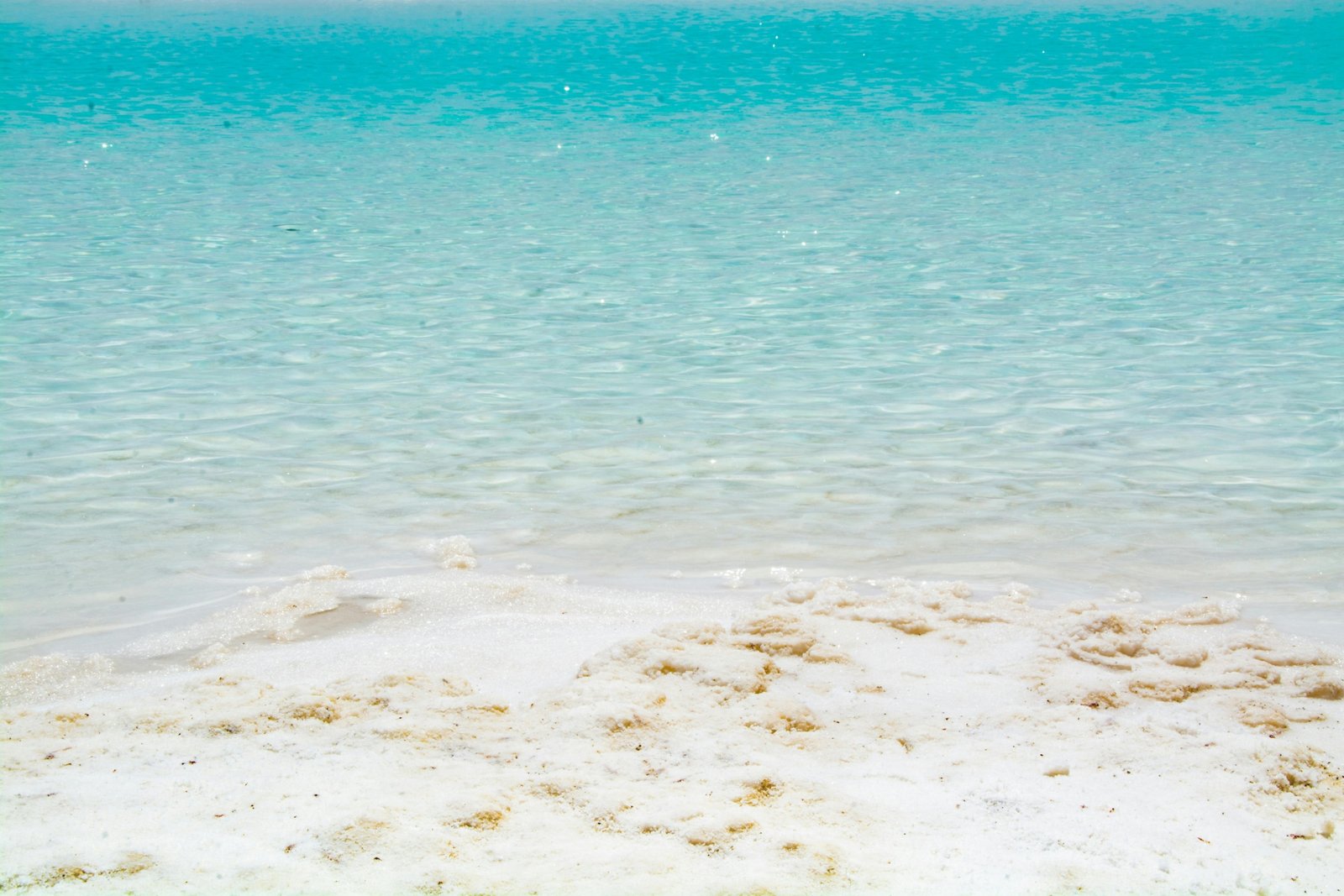 Punta Cana beach with turquoise water and palm trees under a clear sky, highlighting the best time to visit for ideal weather and fewer crowds.