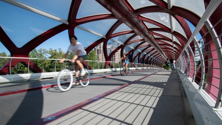 A sturdy bicycle travel case with wheels at an airport, representing secure bike transport and essential protection for a traveling cyclist's next adventure.