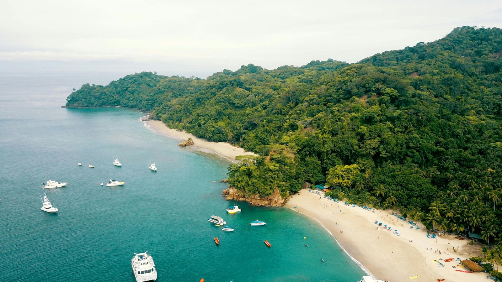 Lush Costa Rican landscape featuring vibrant rainforest meeting a pristine tropical beach, ideal for diverse travel experiences and planning the best time to visit.