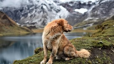 A traveler engaging with a Quechua local amidst the majestic Cordillera Huayhuash mountains in Peru, illustrating Natalia Diaz's immersive and inspiring Lonely Planet travel story.