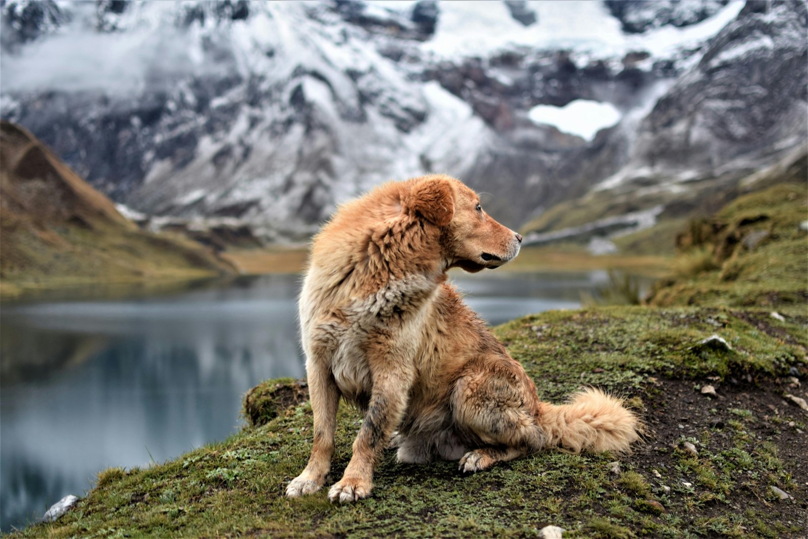 A traveler engaging with a Quechua local amidst the majestic Cordillera Huayhuash mountains in Peru, illustrating Natalia Diaz's immersive and inspiring Lonely Planet travel story.