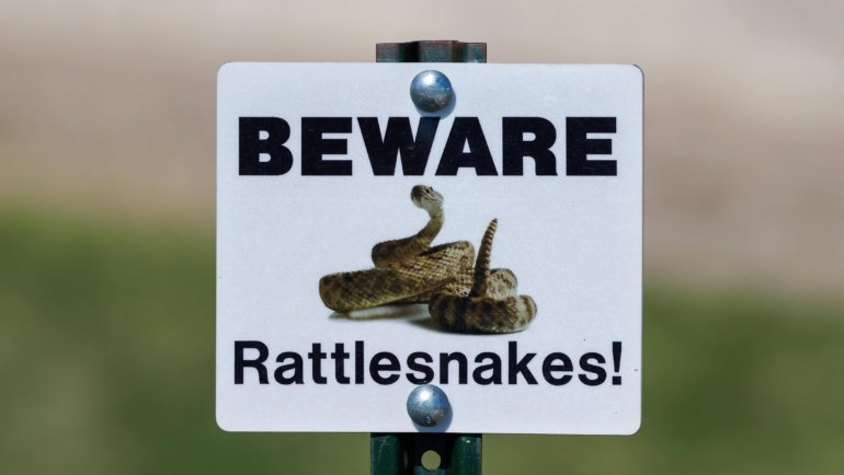 Canadian university professor contemplating the CAUT travel advisory for U.S. travel due to concerns over academic freedom, DEI, and personal liberties, affecting North American collaboration.