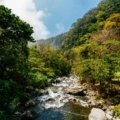Vibrant tropical landscape of Panama, featuring lush rainforest meeting a pristine beach under clear skies, symbolizing the country's diverse beauty for travel planning during its dry and wet seasons.