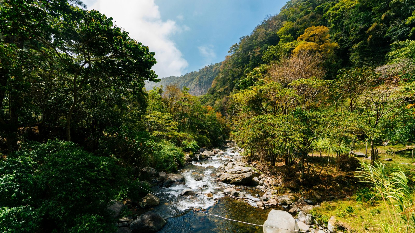 Vibrant tropical landscape of Panama, featuring lush rainforest meeting a pristine beach under clear skies, symbolizing the country's diverse beauty for travel planning during its dry and wet seasons.