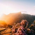 Panoramic view of South Africa's vibrant landscape at sunrise, showcasing the ideal time for combining safari adventures and Cape Town city exploration.