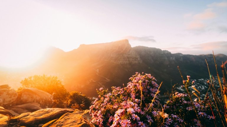 Panoramic view of South Africa's vibrant landscape at sunrise, showcasing the ideal time for combining safari adventures and Cape Town city exploration.