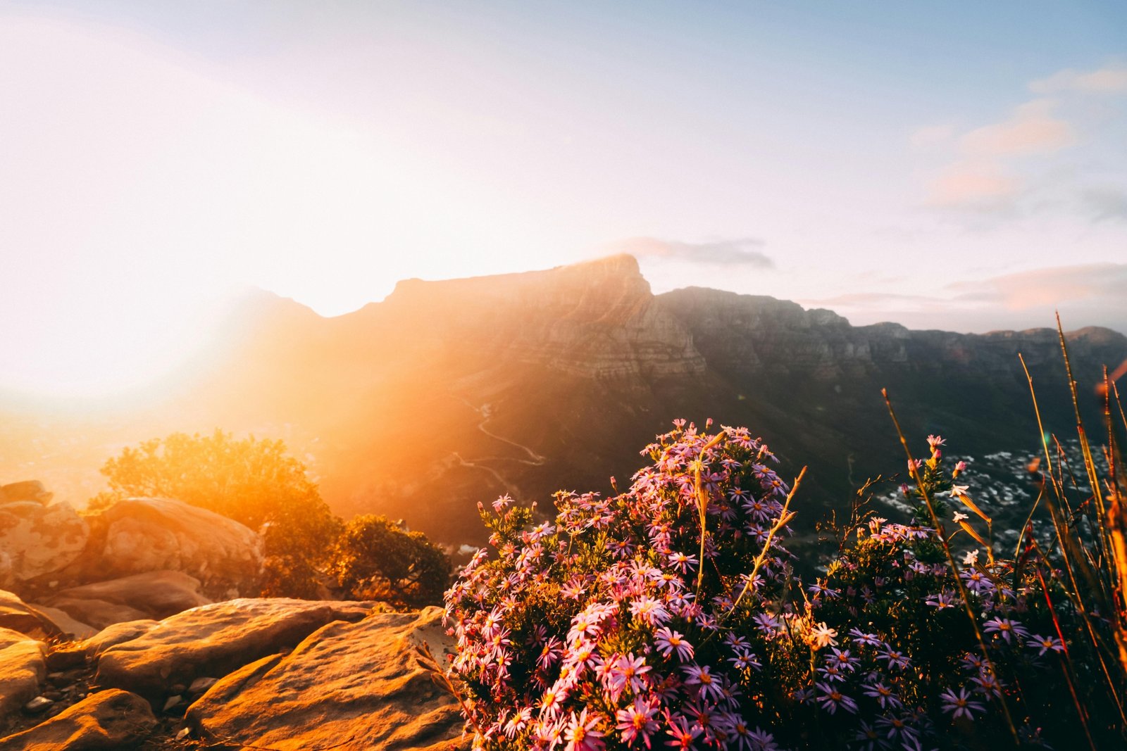 Panoramic view of South Africa's vibrant landscape at sunrise, showcasing the ideal time for combining safari adventures and Cape Town city exploration.