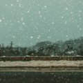 Empty snow-covered road during a WNY travel ban, illustrating severe winter weather, driving restrictions, and safety for Western New York residents.