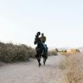 A rider on a well-conditioned horse traveling along a scenic trail, illustrating realistic daily distances for responsible horseback journeys and horse welfare.