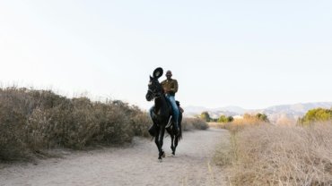 A rider on a well-conditioned horse traveling along a scenic trail, illustrating realistic daily distances for responsible horseback journeys and horse welfare.