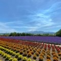 Hokkaido travel package featuring diverse scenic landscapes of Japan for a dream vacation.