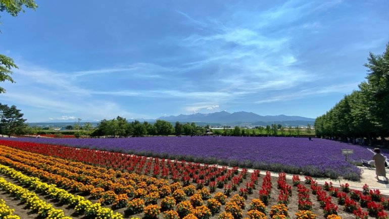 Hokkaido travel package featuring diverse scenic landscapes of Japan for a dream vacation.