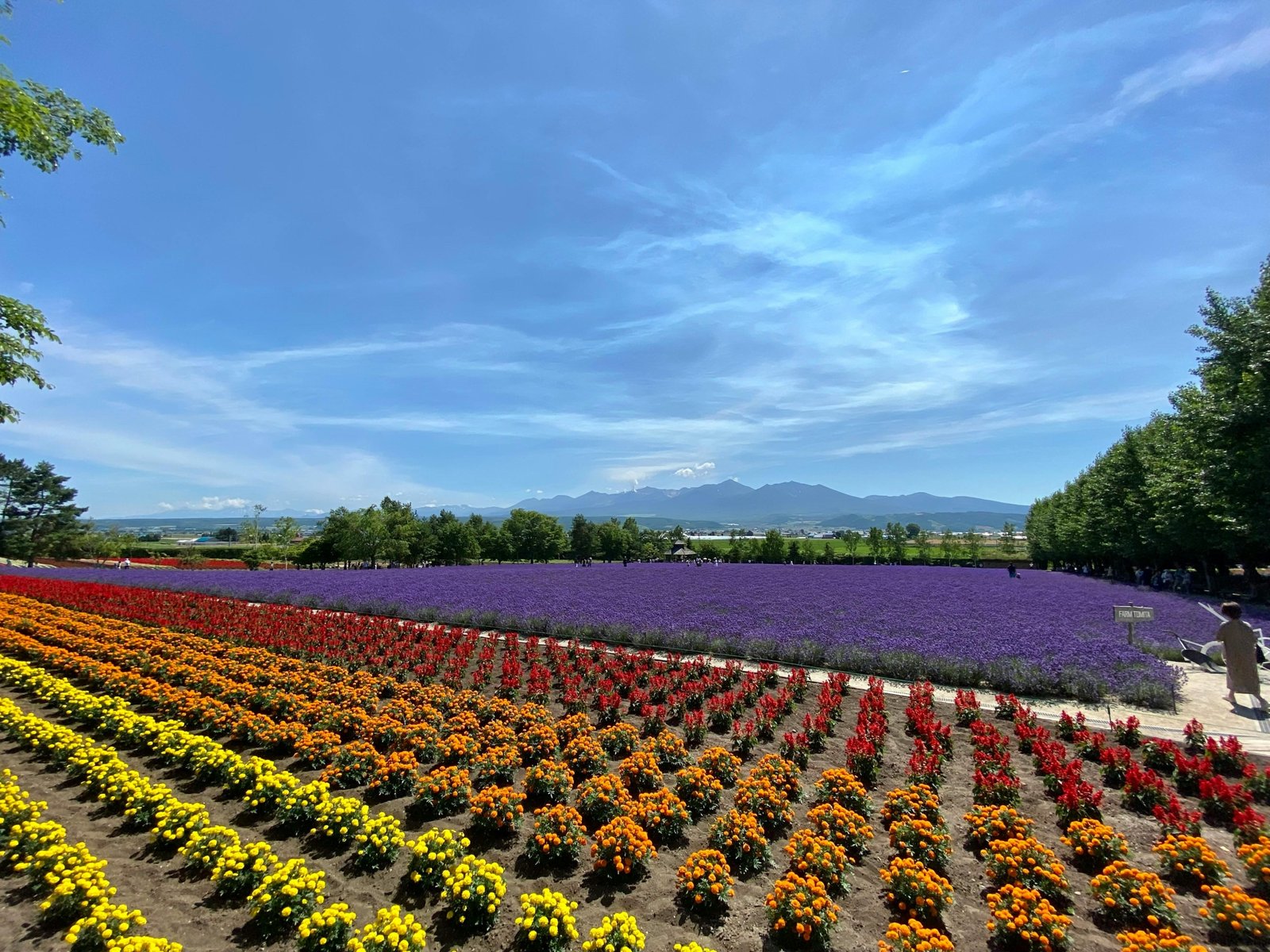 Hokkaido travel package featuring diverse scenic landscapes of Japan for a dream vacation.