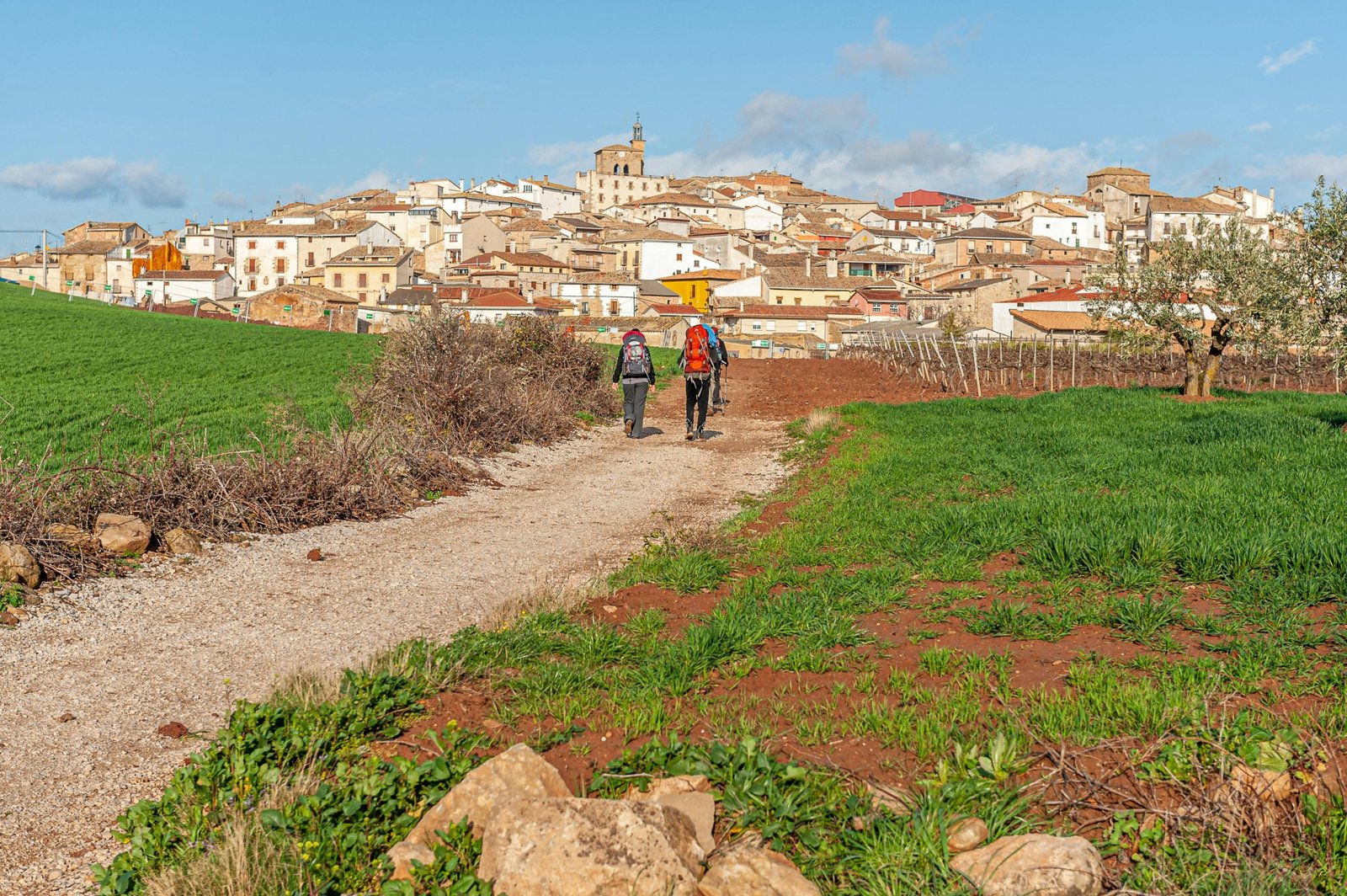 Pilgrim on a sacred path, embarking on a spiritual journey of reflection and devotion towards a holy place.