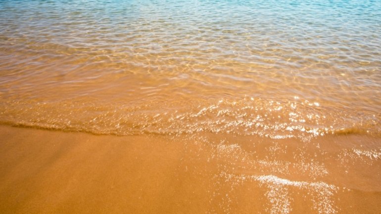 Sunny tropical beach in December with clear blue water and palm trees, representing the best warm weather destinations for a perfect winter escape.