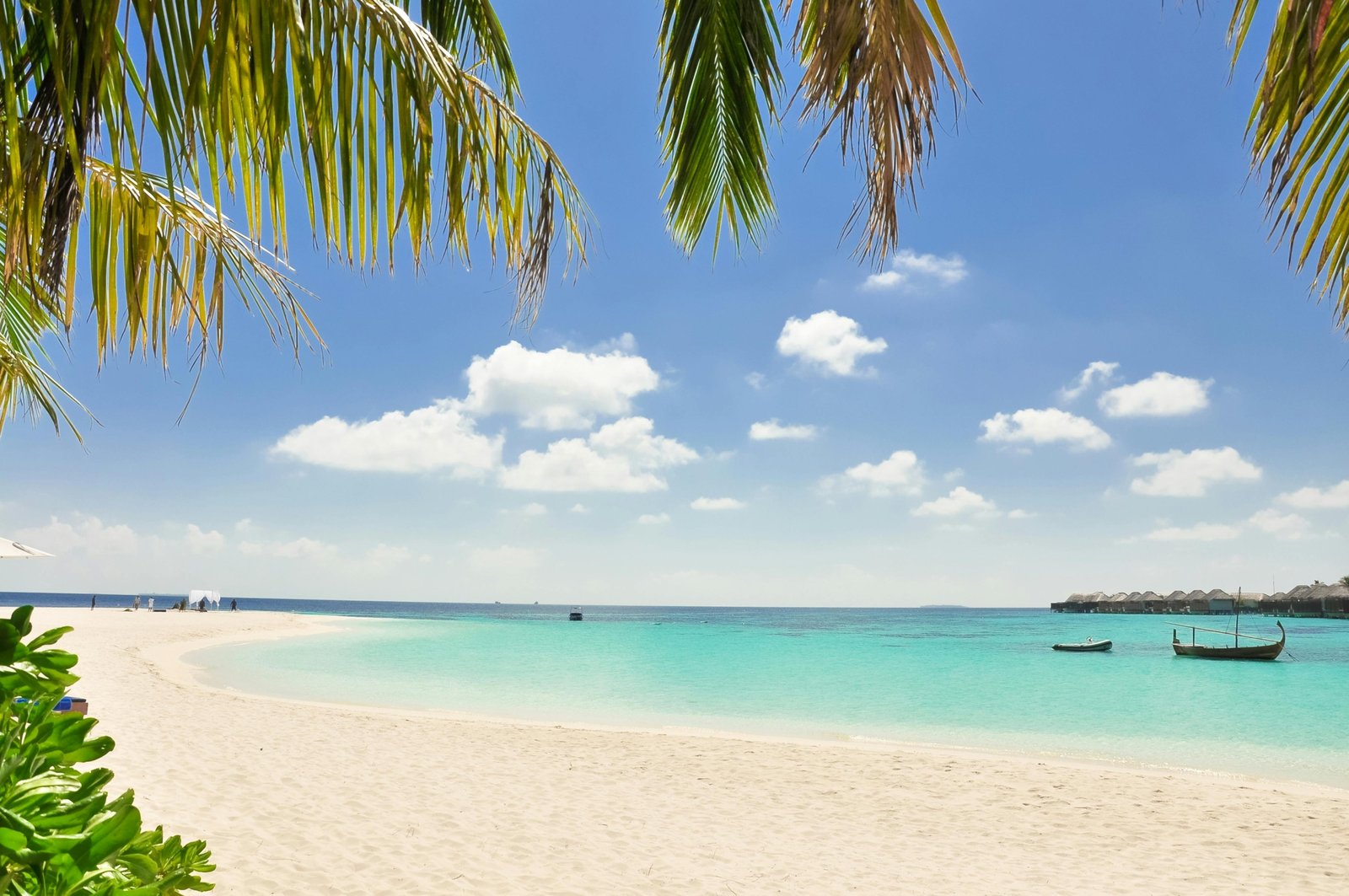 Idyllic white sand beach with turquoise water and palm trees in Antigua, Caribbean, perfect for a tropical vacation. Find the best time to travel to Antigua.