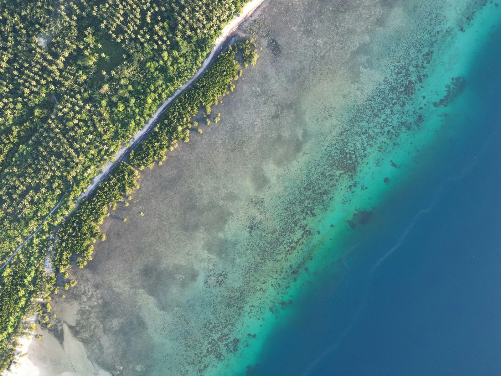 Aerial view of San Andres Islas, Colombia, displaying crystal-clear turquoise water, white-sand beaches, and the 'Sea of Seven Colors,' ideal for a BCD Travel San Andres Islas vacation.