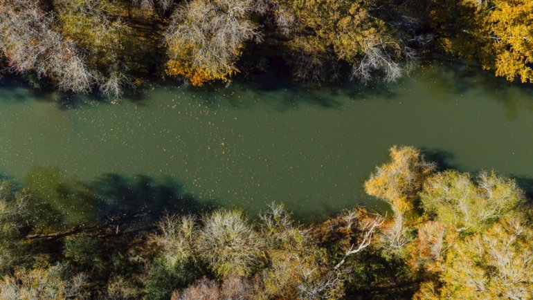 Best places to travel in November in the United States, featuring diverse scenic beauty like autumn foliage and warm coastal views, ideal for a peaceful vacation.